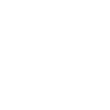 Icon19